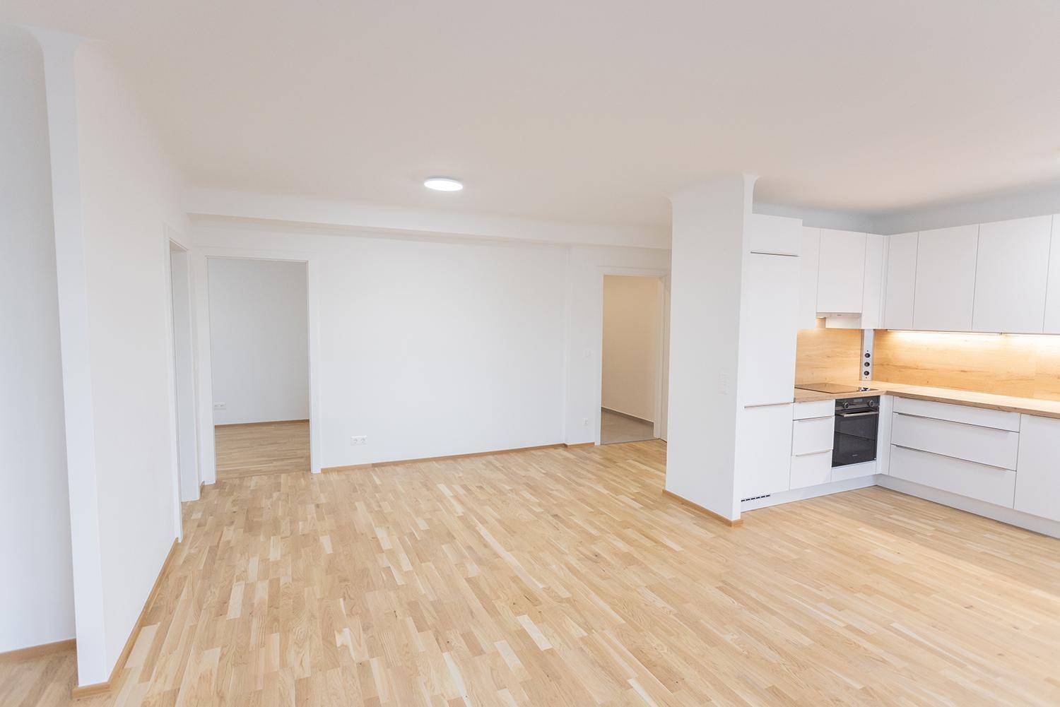 Heller Wohnbereich mit offener Küche, Holzboden und viel Tageslicht.