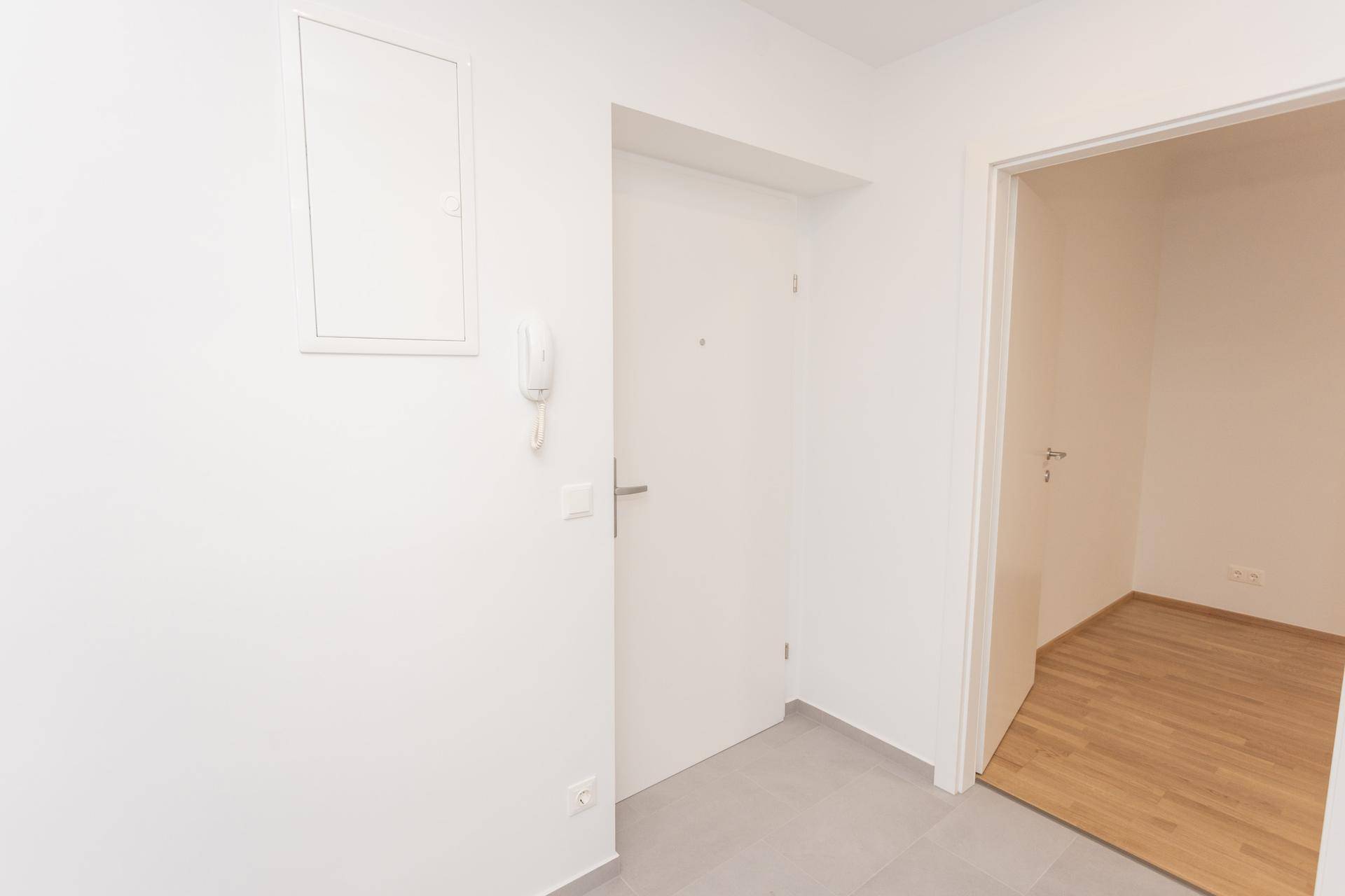 Eingangsbereich mit Gegensprechanlage und Blick in einen Raum mit Holzparkettboden.