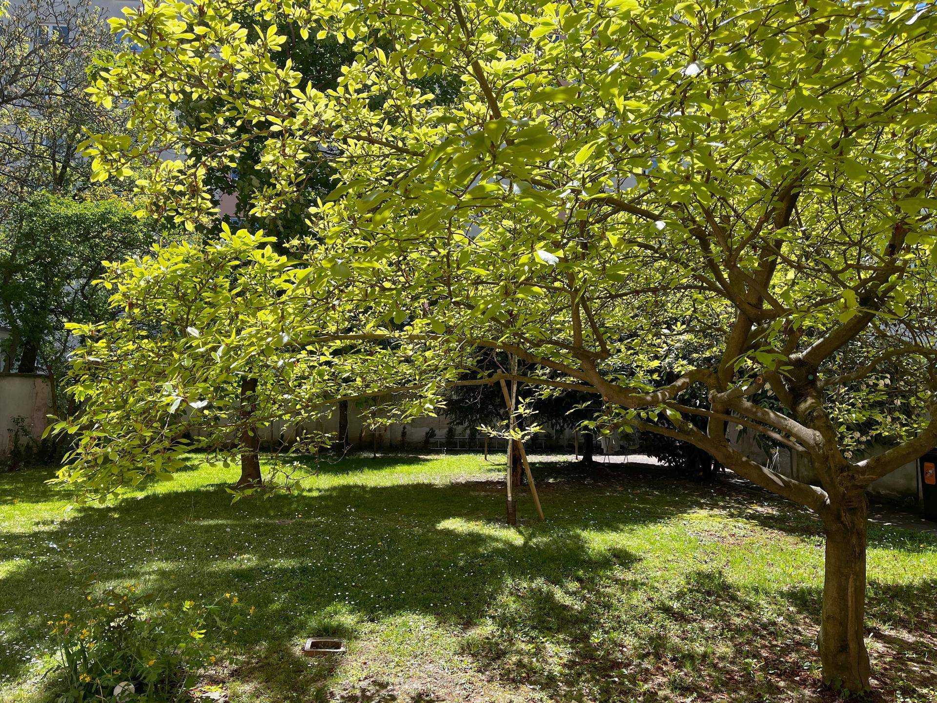 Grüner Gartenbereich mit Rasenfläche und jungen Bäumen unter hellem Sonnenlicht.