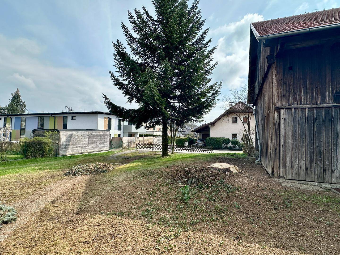 Gartenbereich mit großem Nadelbaum und Blick auf umliegende Gebäude.