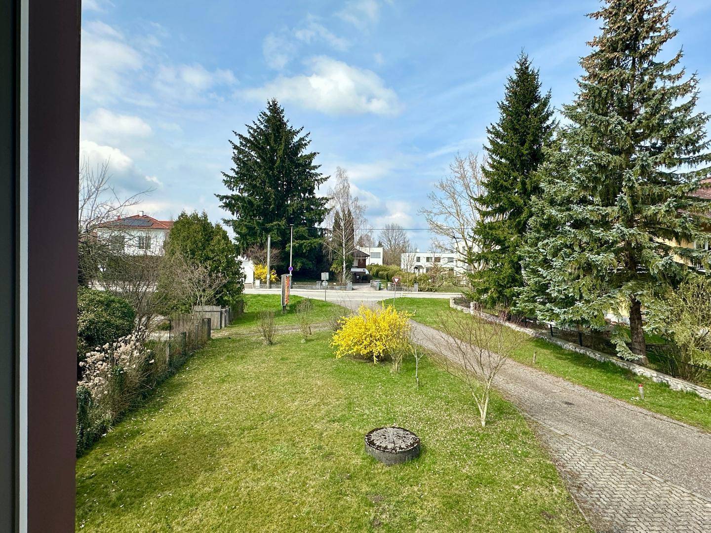 Blick aus dem Fenster auf eine grüne Gartenlandschaft mit Bäumen und Straße.