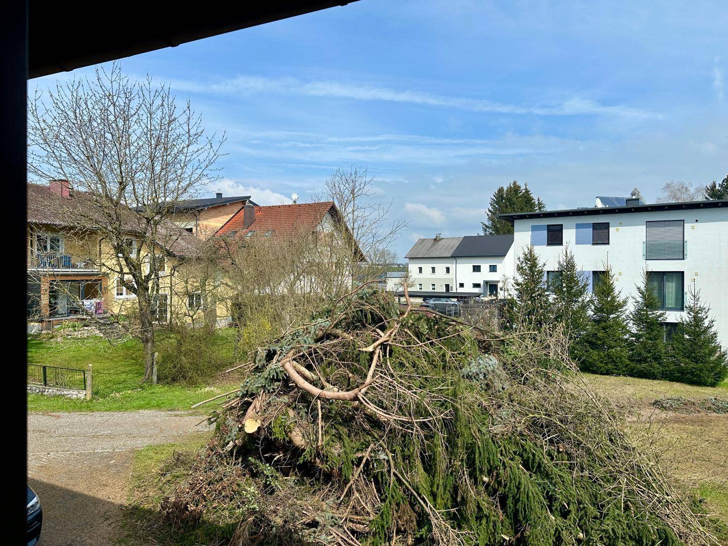 Weitläufiger Blick auf die Nachbarschaft mit Bäumen und weiteren Häusern.