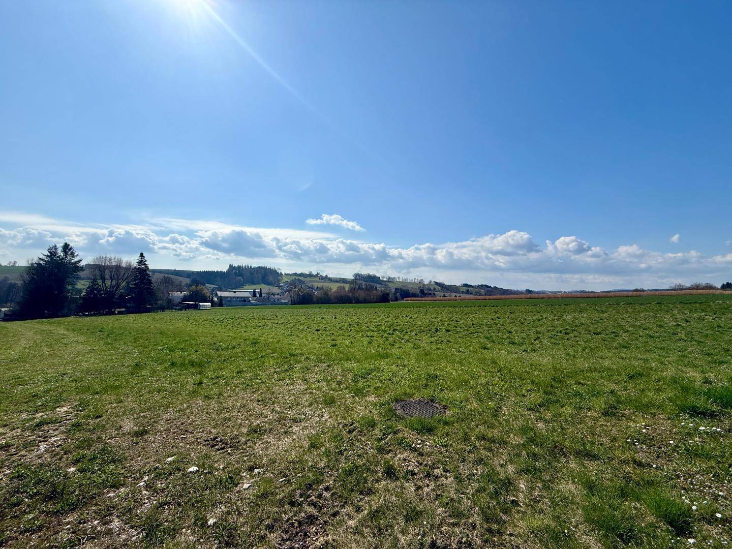 Panoramablick über ein ausgedehntes grünes Feld mit vereinzelten Bäumen und Häusern am Horizont.