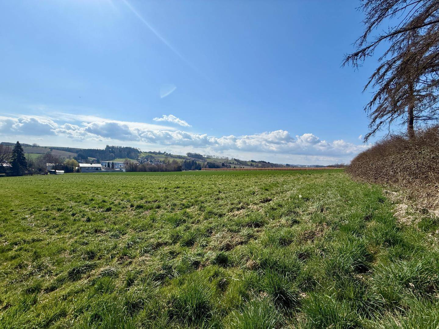 Weitläufige grüne Wiese mit einer Hecke am Rand und einem weiten Blick über die Landschaft.