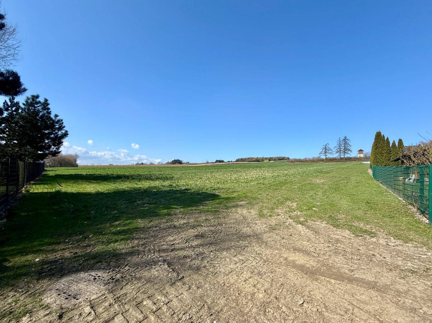 Grüne Wiese mit einem Feldweg im Vordergrund, umgeben von Zäunen und Bäumen unter blauem Himmel.