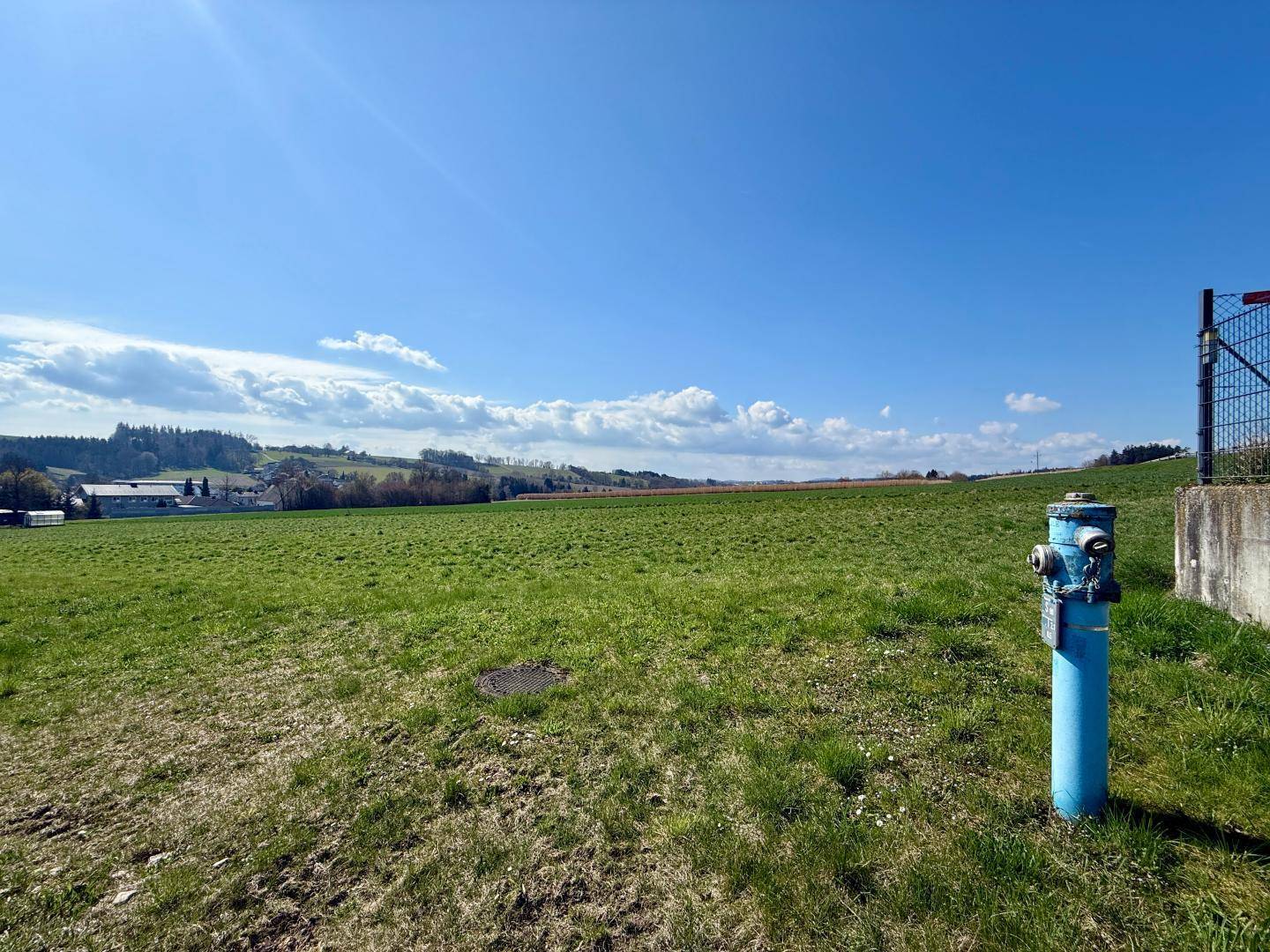 Sonniges grünes Feld mit einem blauen Hydranten im Vordergrund und ländlicher Bebauung am Horizont.