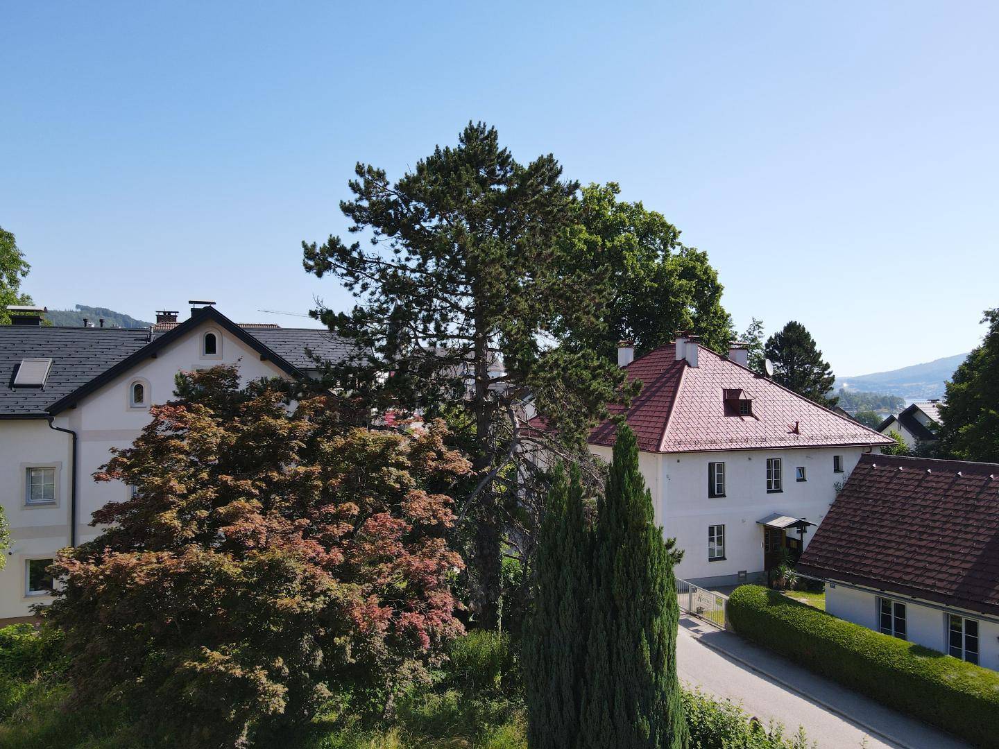 Malerische Ansicht von Wohnhäusern und üppiger Vegetation mit Bergen im Hintergrund an einem sonnigen Tag.