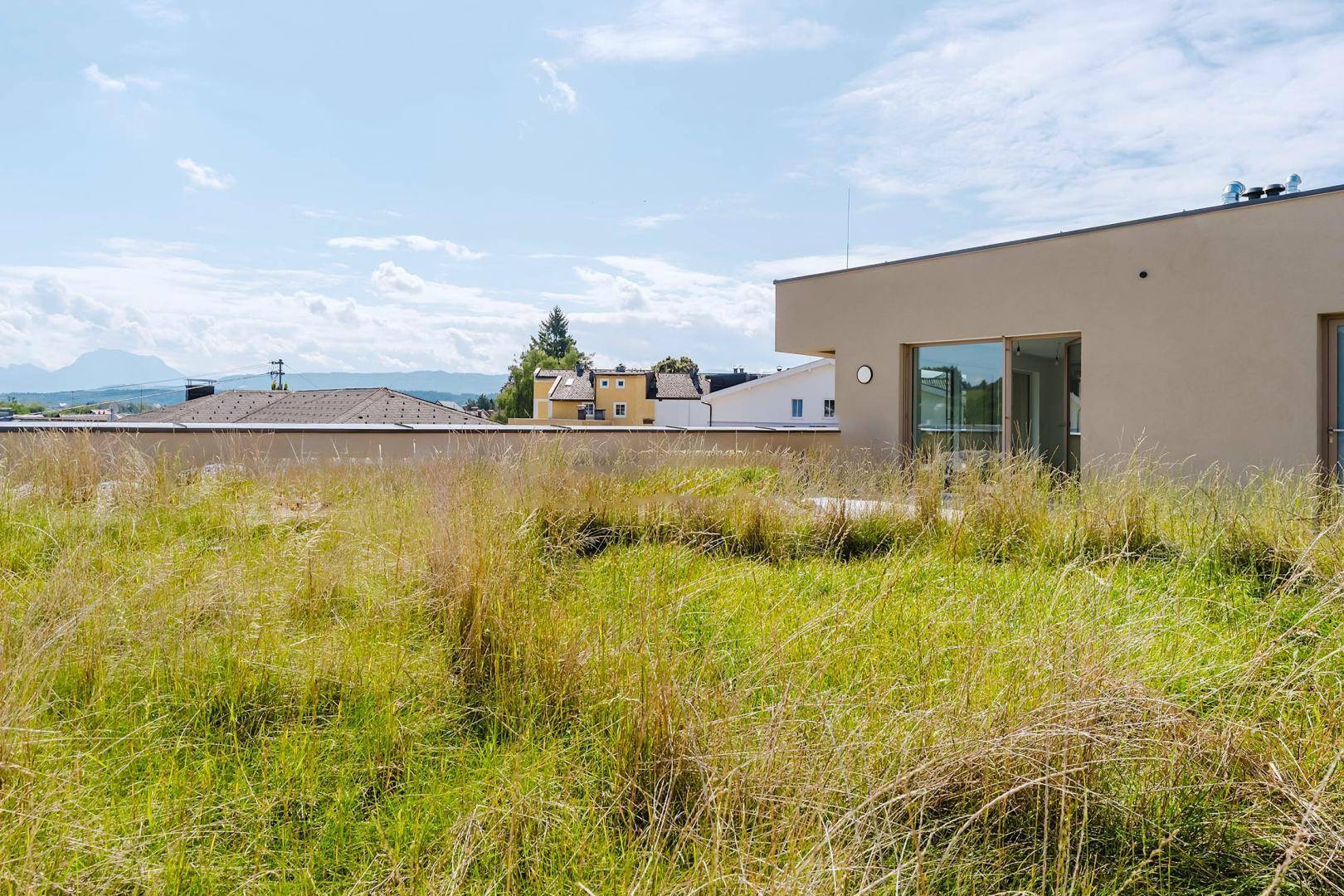 Grüne Dachterrasse mit natürlicher Bepflanzung und Blick auf die umliegende Landschaft.