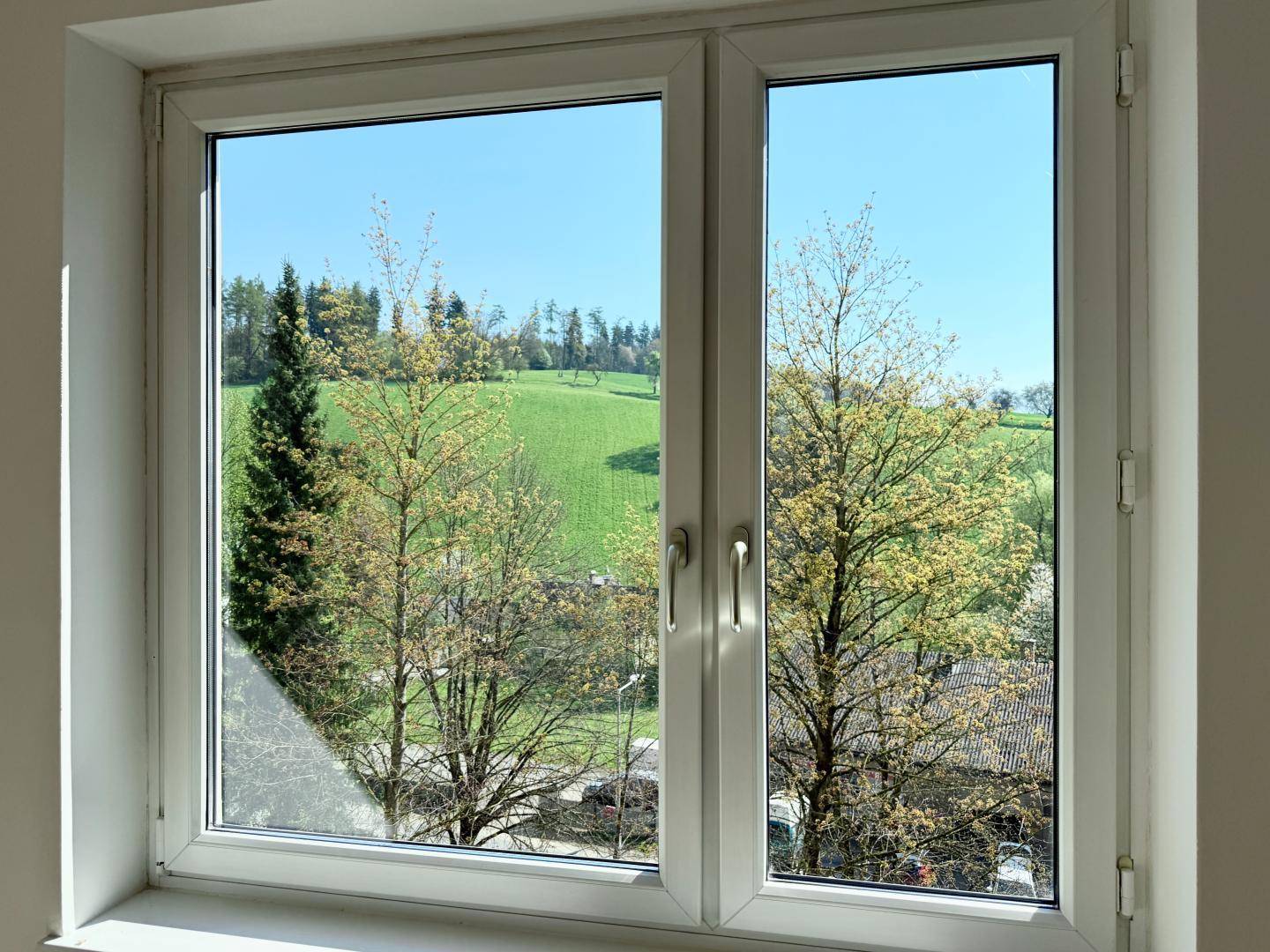 Fensterblick aus einem Zimmer auf eine idyllische grüne Hügellandschaft mit Bäumen.