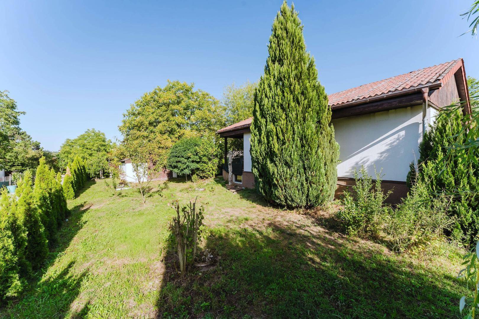 Seitenansicht des Hauses mit gepflegtem Garten, hohen Bäumen und einer Hecke.