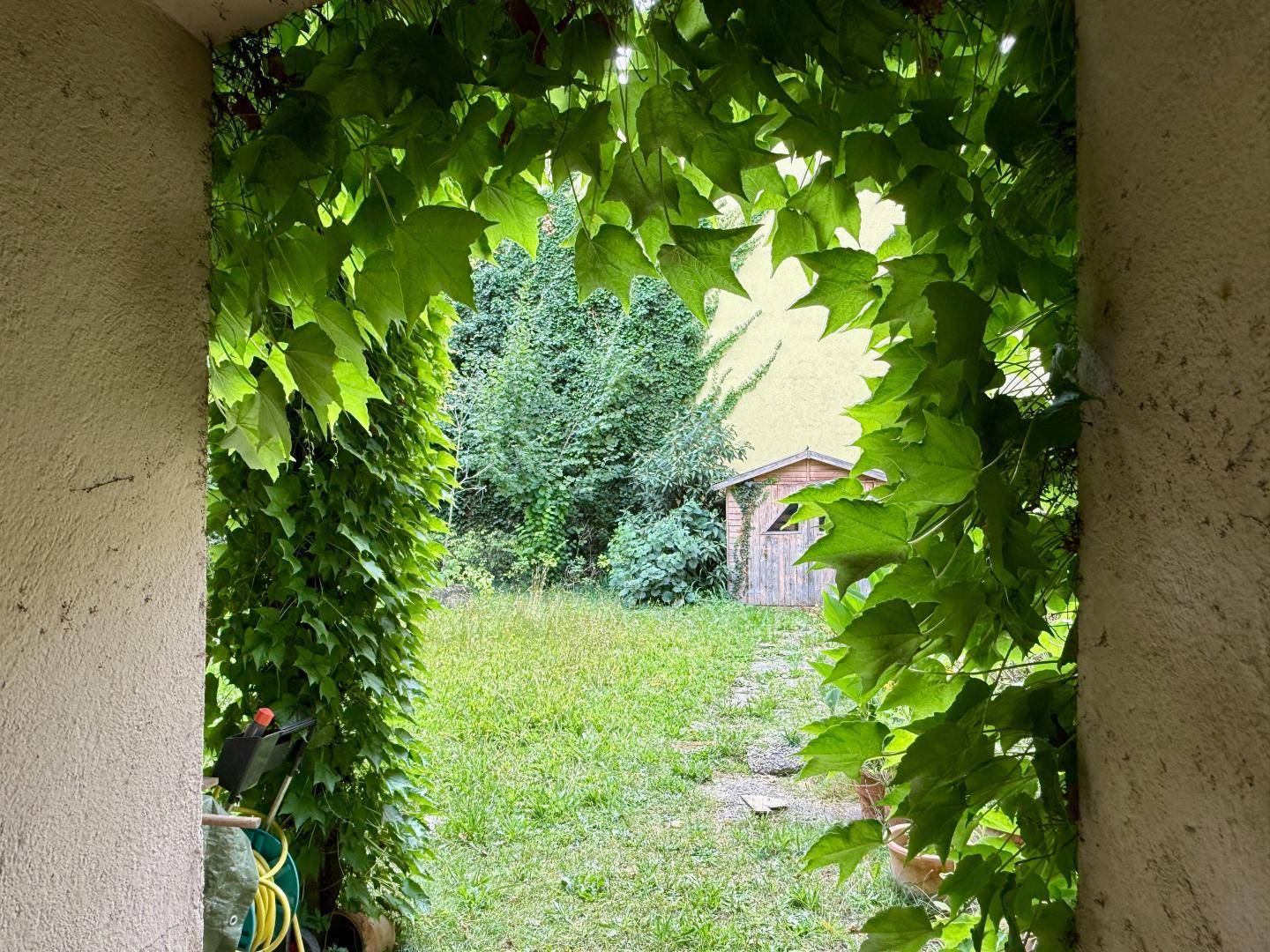 Blick in einen grünen Garten mit Rasenfläche und einem kleinen Holzschuppen, umrahmt von Efeu.