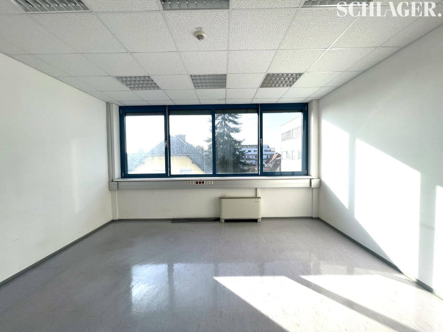 Büro Top 1.2