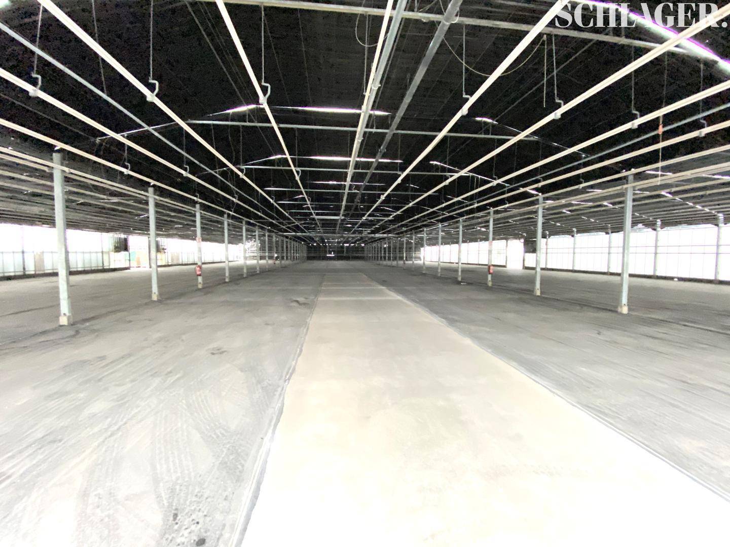 Weitläufige Lagerhalle mit dunkler Dachabdeckung, Betonboden und zahlreichen Stützpfeilern, bereit zur Nutzung.