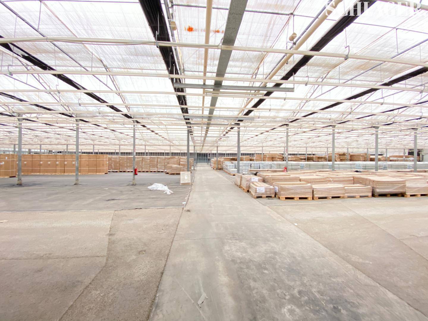 Große Lagerhalle mit Tageslichtdach und Betonboden, teilweise mit palettierten Waren bestückt, bietet viel Stauraum.
