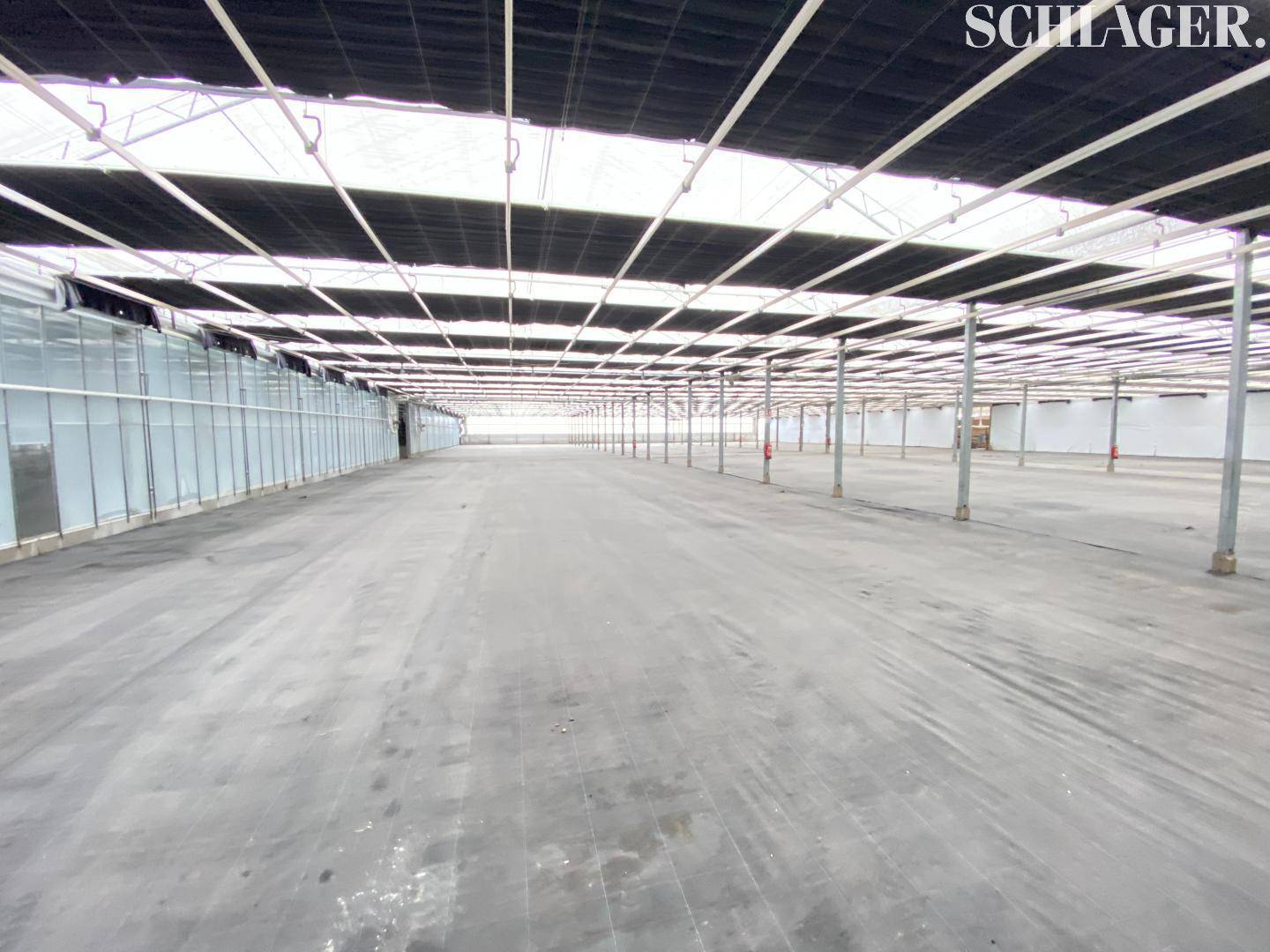 Geräumige Industriehalle mit dunkler Dachabdeckung, Betonboden und langer, offener Fläche, ideal für Logistik.
