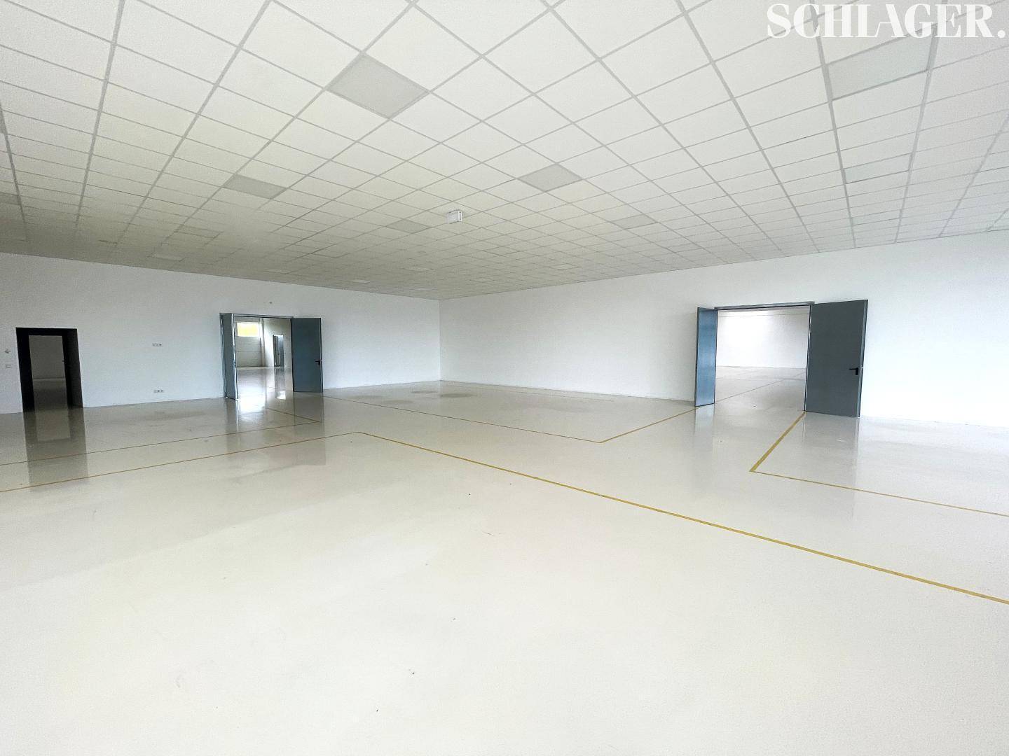 Großer, leerer Gewerberaum mit abgehängter Decke und mehreren Zugängen, vielseitig nutzbar.