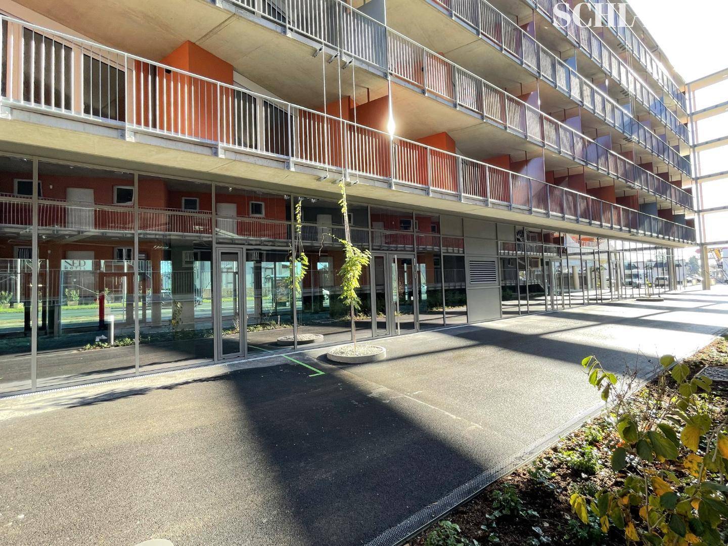 Ansicht der modernen Erdgeschossfassade mit großen Glasflächen und einem jungen Baum im Vordergrund.