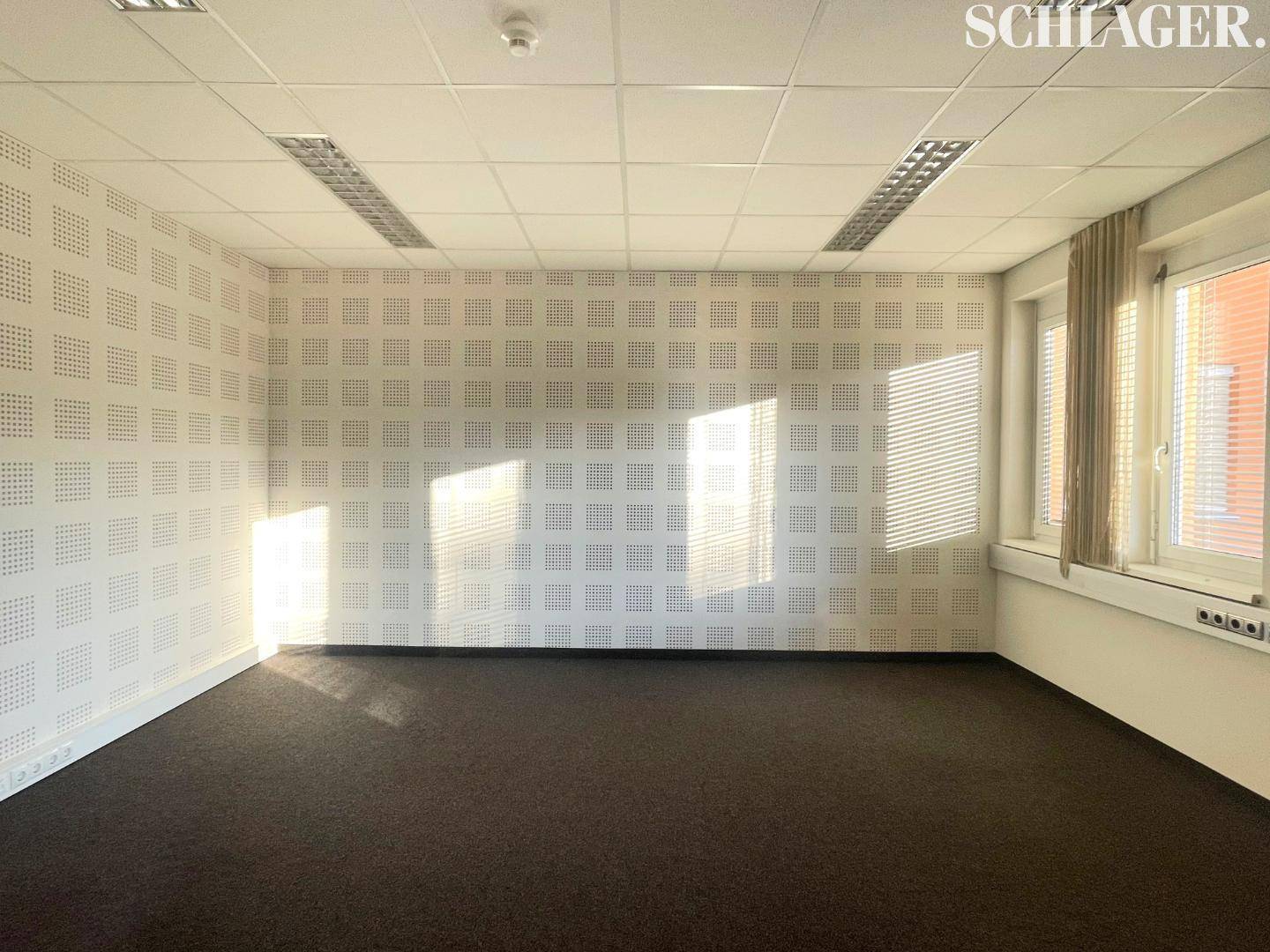 Lichtdurchfluteter Büroraum mit perforierter Wandverkleidung, Teppichboden und moderner Deckenbeleuchtung.