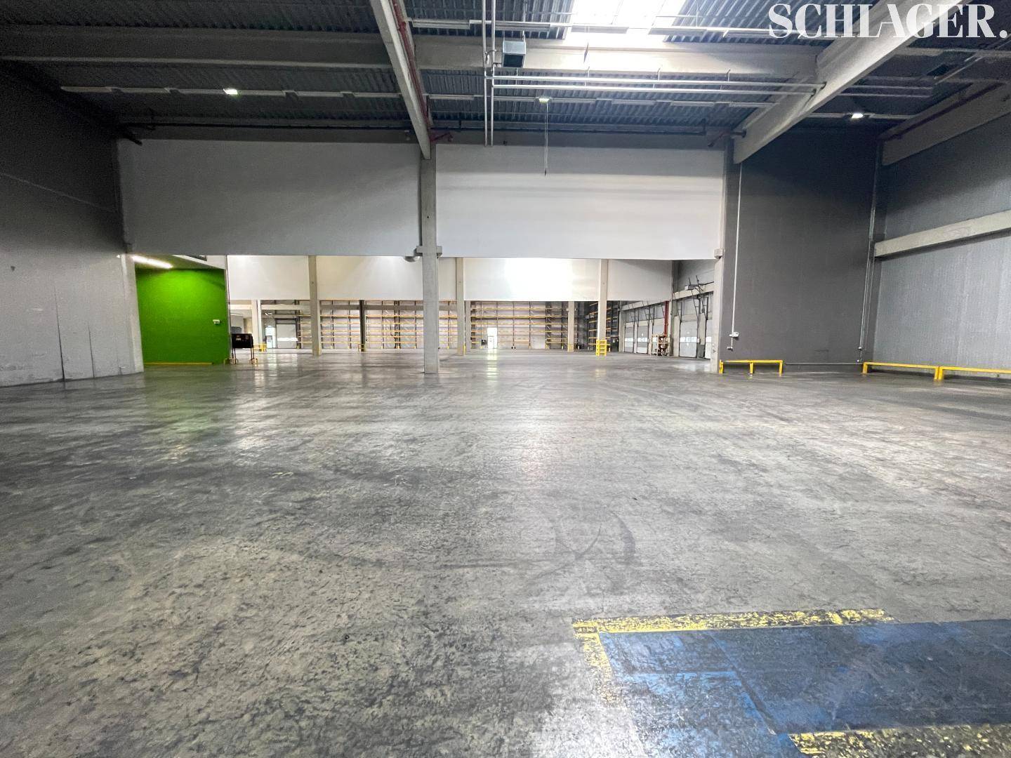 Weitläufige, leere Lagerhalle mit Betonboden, hohen Decken und einem grünen Wandbereich im Hintergrund.