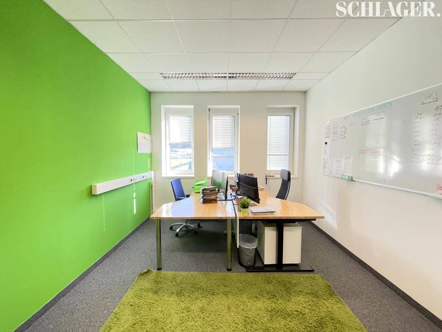 Funktionales Büro mit einer auffälligen grünen Wand, Schreibtisch und Fenstern für Tageslicht.