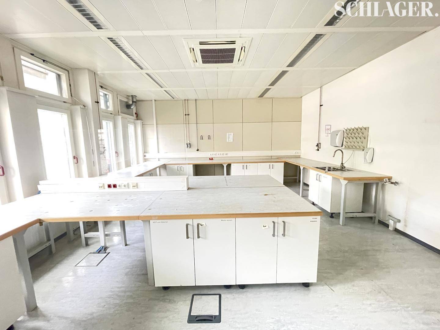 Ausgestatteter Laborraum mit Arbeitsflächen, Spülbecken und vielen Fenstern für gute Belüftung.