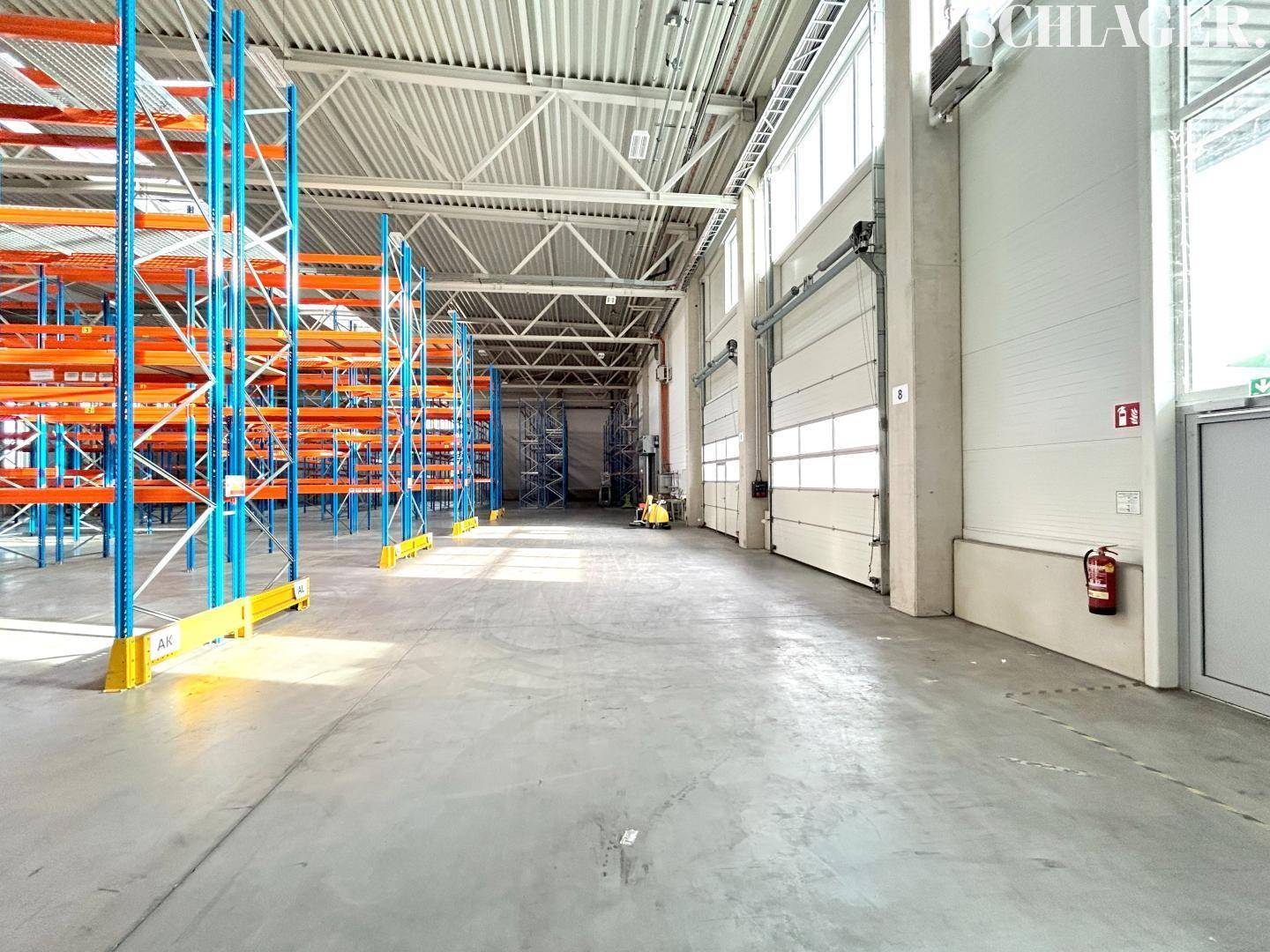 Helle Lagerhalle mit hohen Decken, Betonboden, Regalsystemen und großen Rolltoren mit Fenstern.