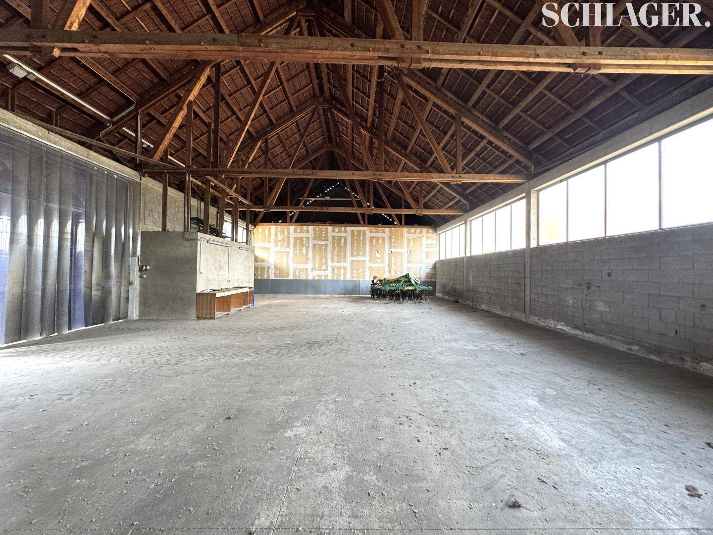 Geräumige Lagerhalle mit hoher Holzkonstruktion, Betonboden und großen Fenstern für Tageslicht.