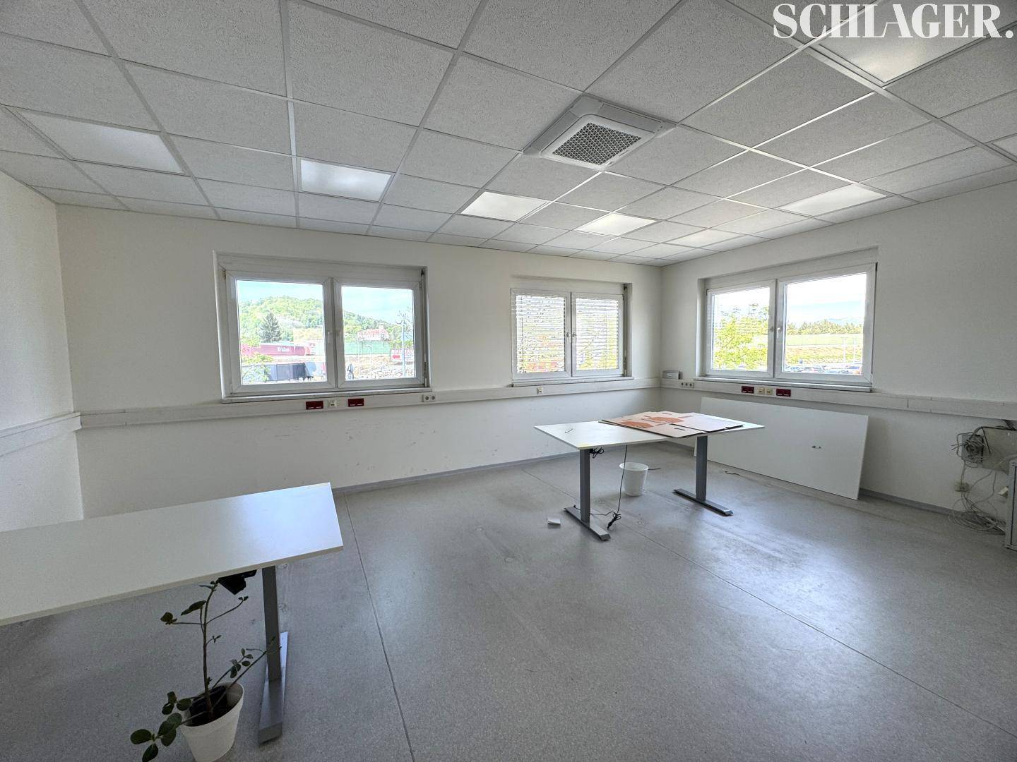 Helles Büro mit mehreren Fenstern, abgehängter Decke und einfachen Schreibtischen.