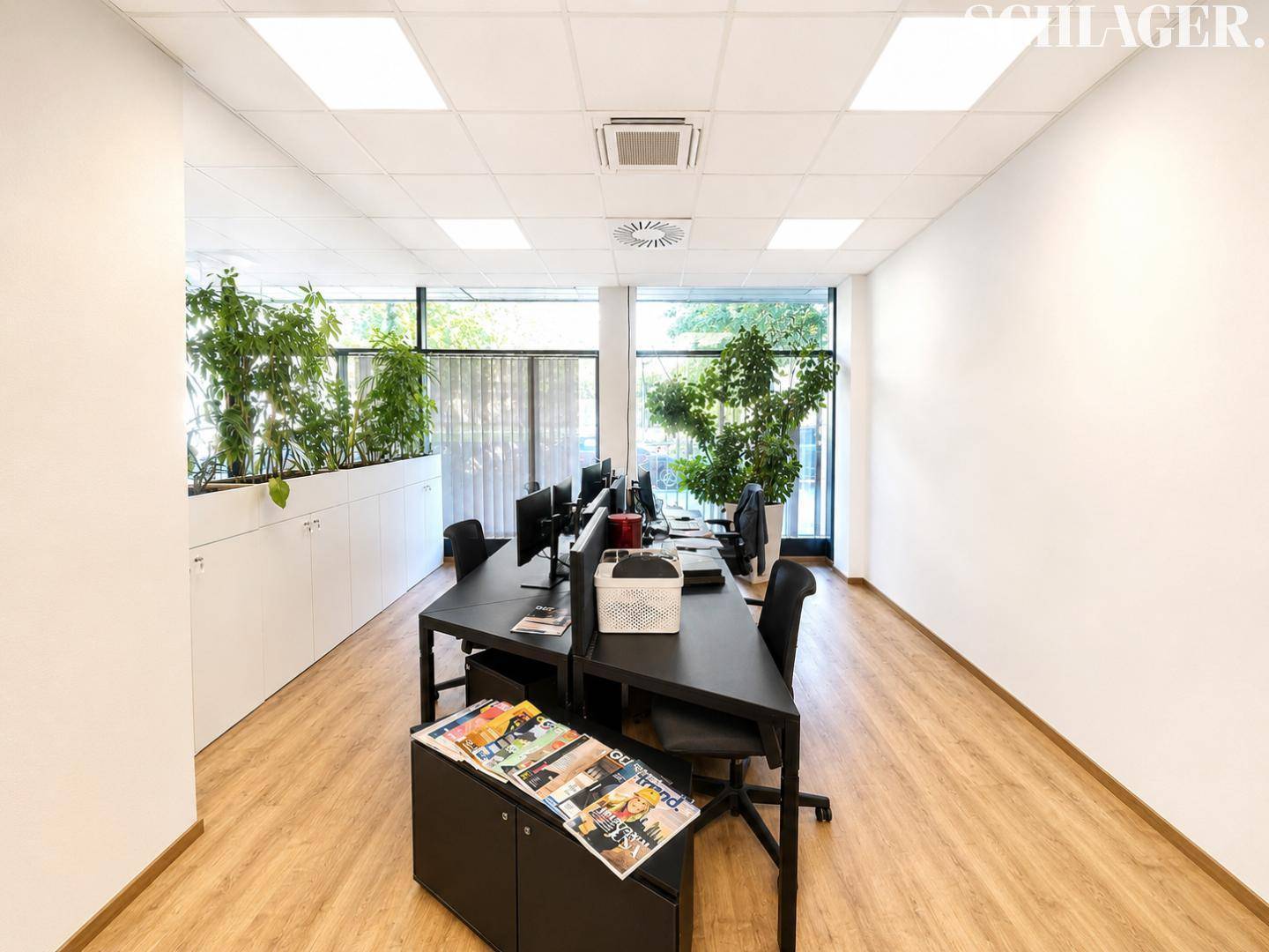 Helles und modernes Büro mit großen Fenstern, Holzboden und Pflanzen als Raumteiler.