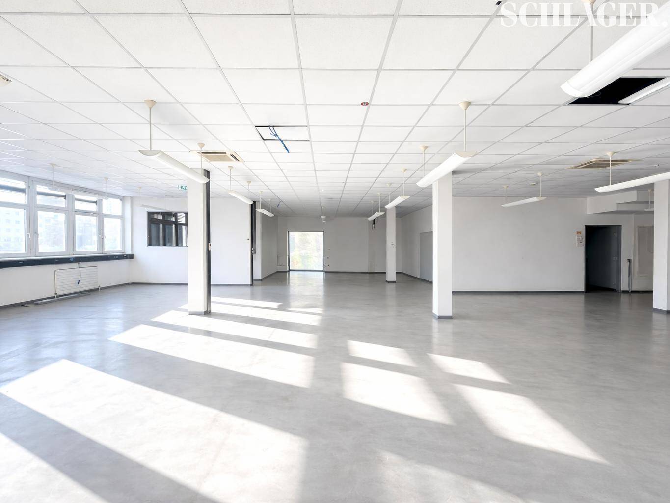 Großer, leerer Büroraum mit vielen Fenstern, abgehängter Decke und viel natürlichem Licht.