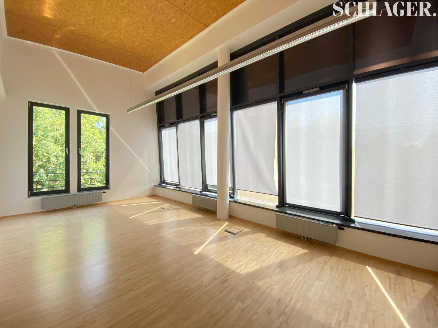 Geräumiger, leerer Raum mit großen Fenstern, Holzfußboden und einer Decke aus Holzpaneelen, durchflutet von Sonnenlicht.
