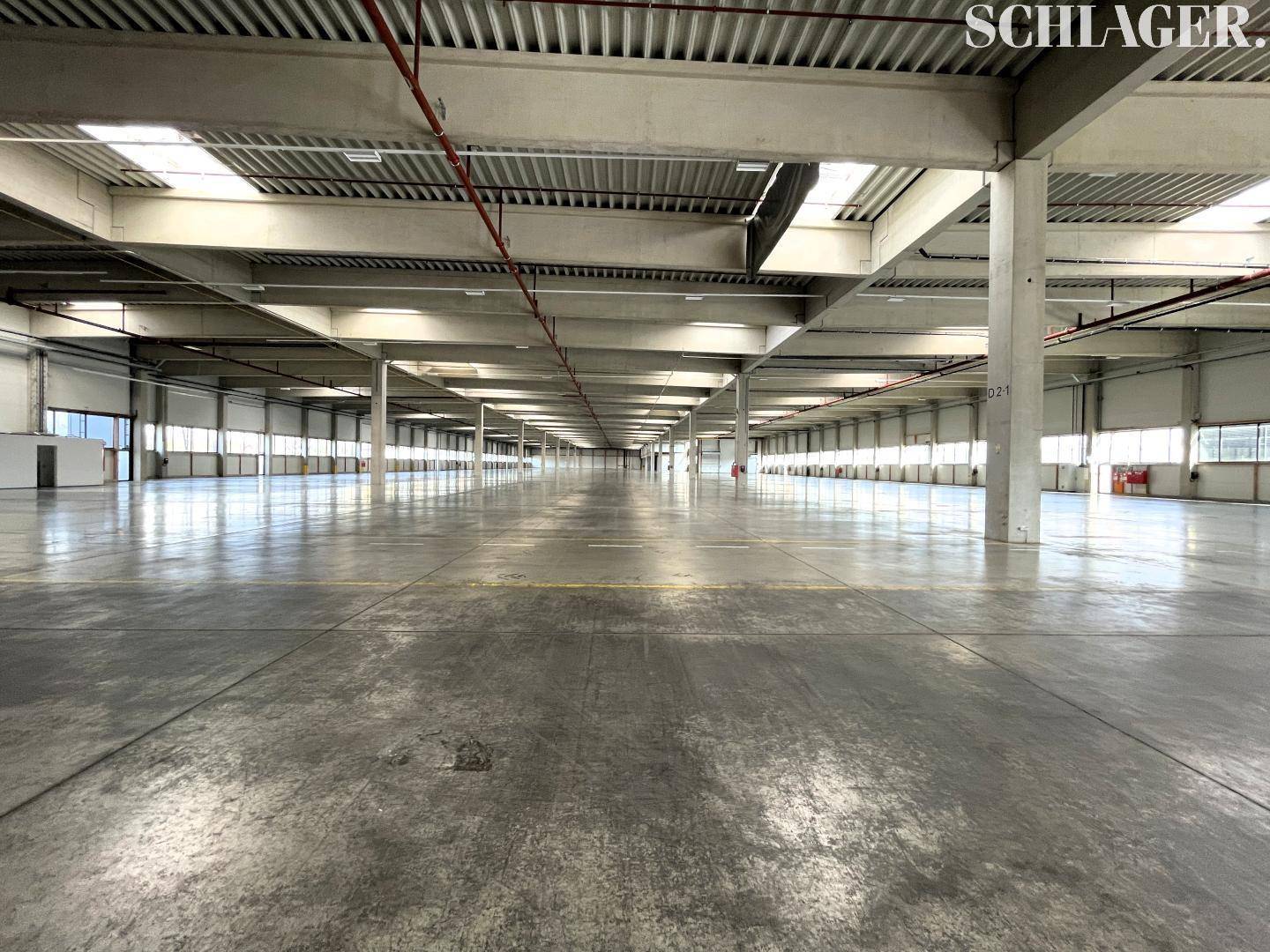 Große, leere Lagerhalle mit hoher Decke, Betonboden und Oberlichtern für Tageslicht.