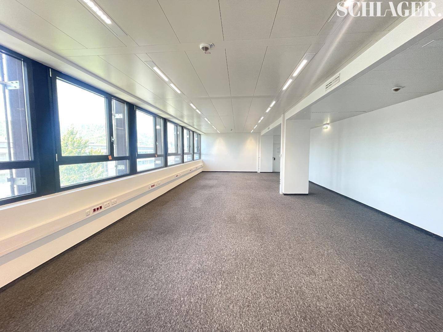 Geräumiger Bürobereich mit Teppichboden, langen Fensterreihen und moderner Deckenbeleuchtung.