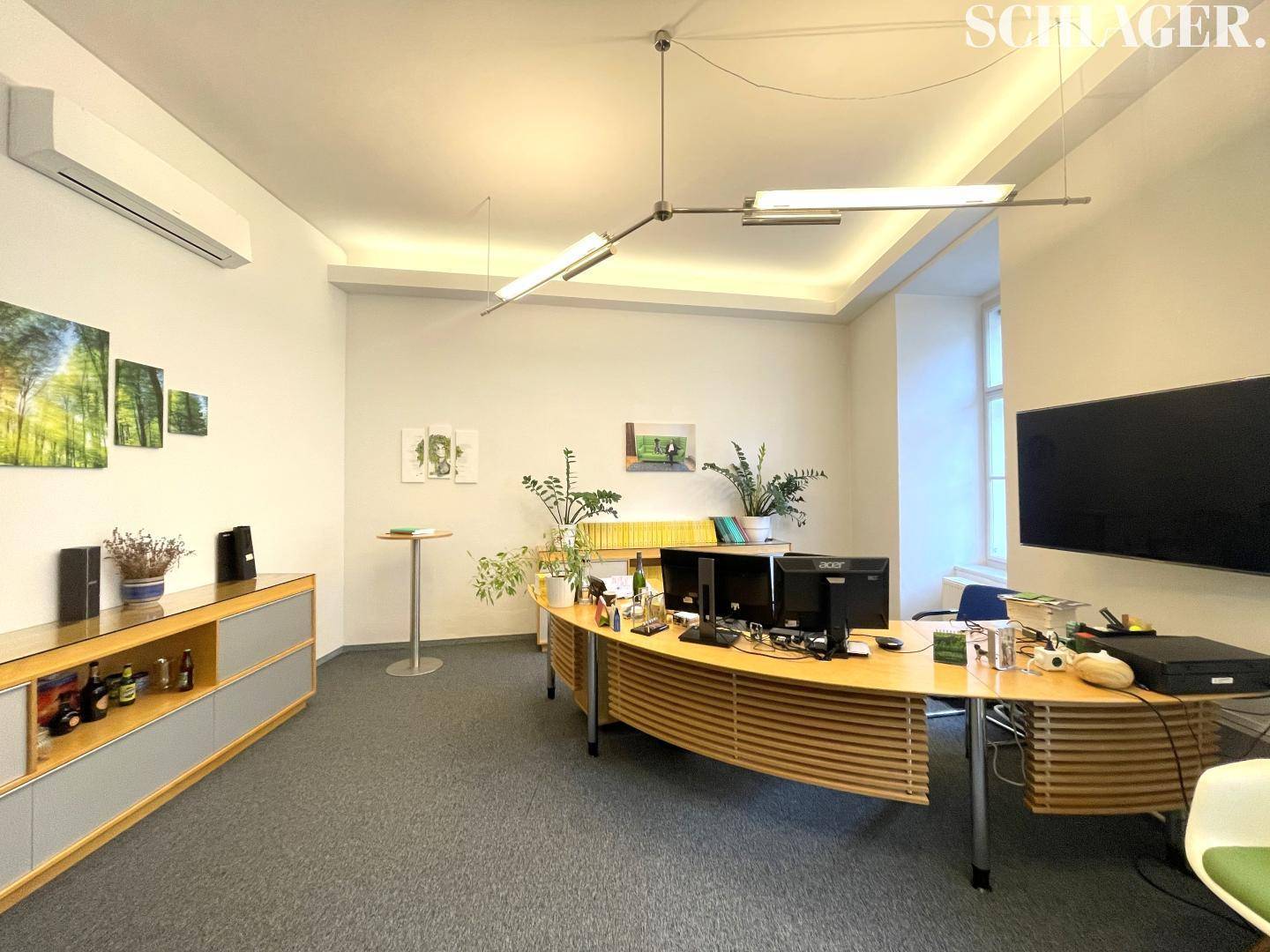 Geräumiges Büro mit geschwungenem Schreibtisch, Teppichboden und dekorativen Pflanzen.