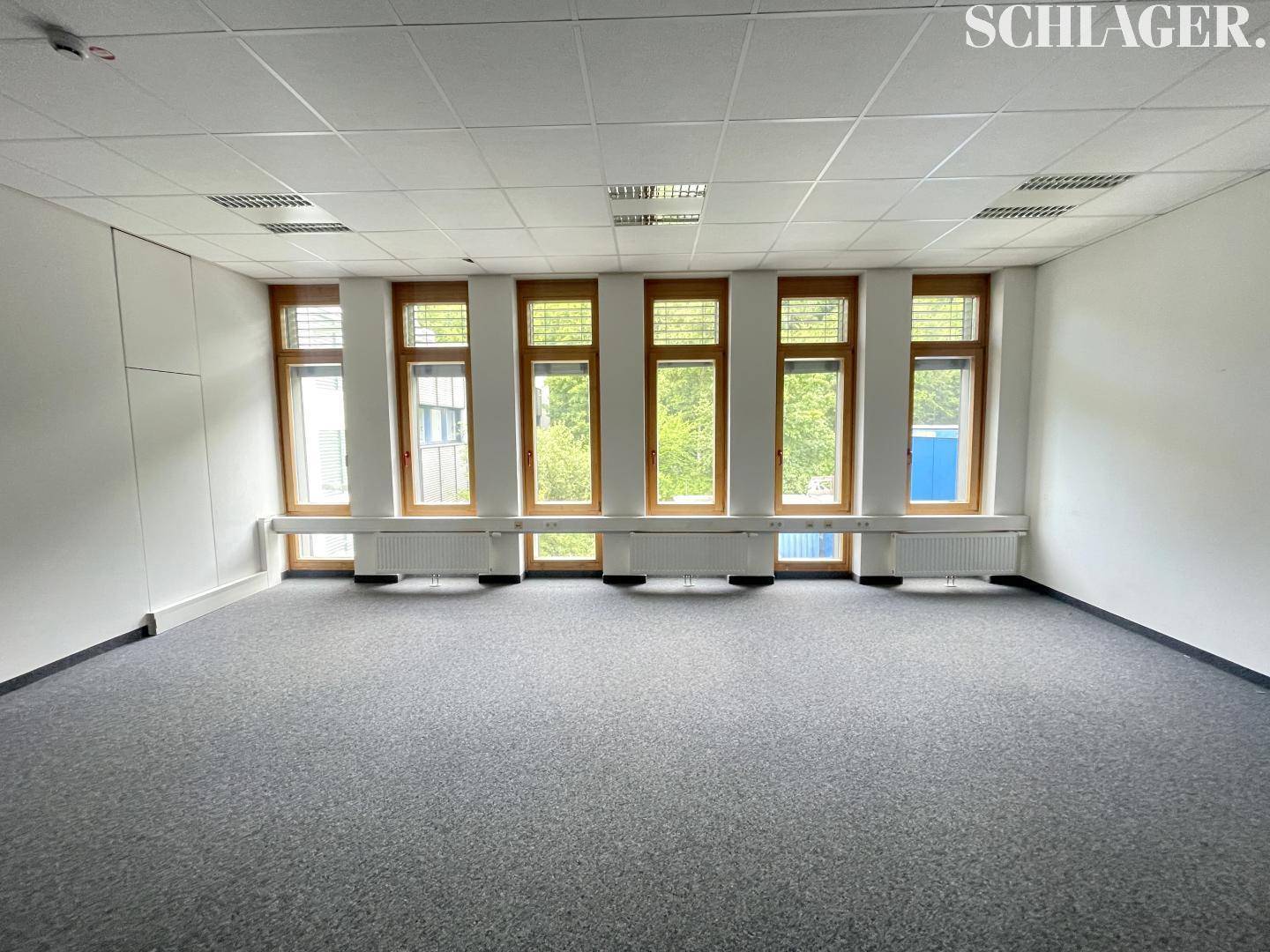 Heller Büroraum mit mehreren Fenstern, Teppichboden und Heizkörpern unter den Fenstern.