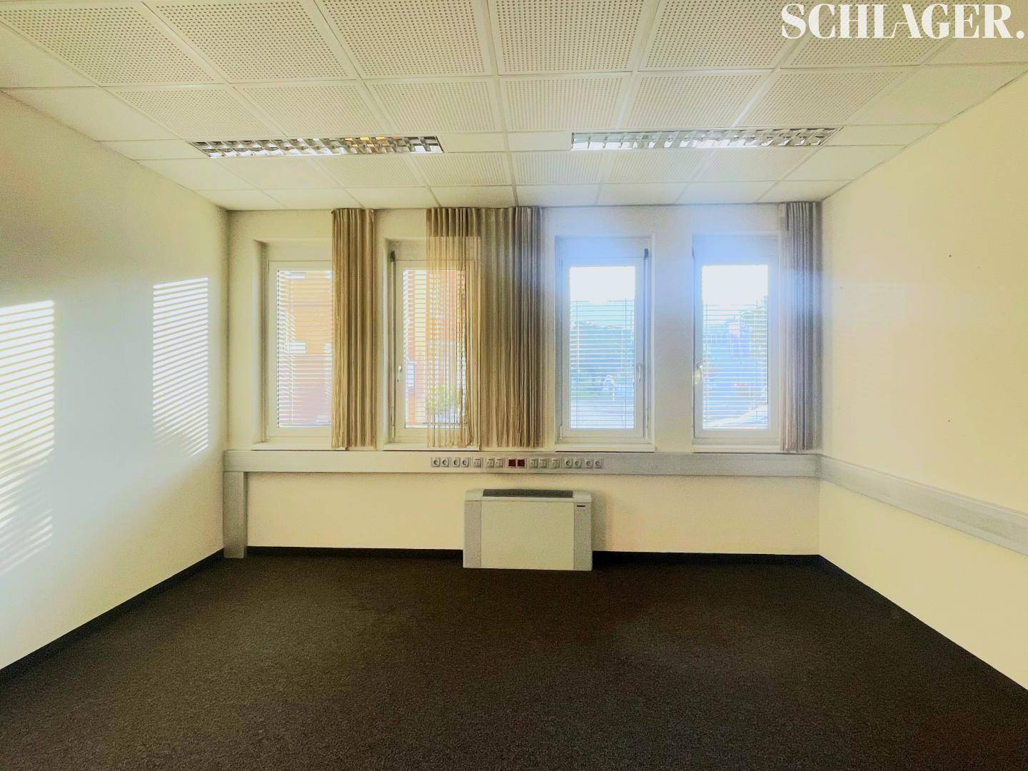 Helles Büro mit drei Fenstern, Vorhängen und Teppichboden, bereit zur Einrichtung.