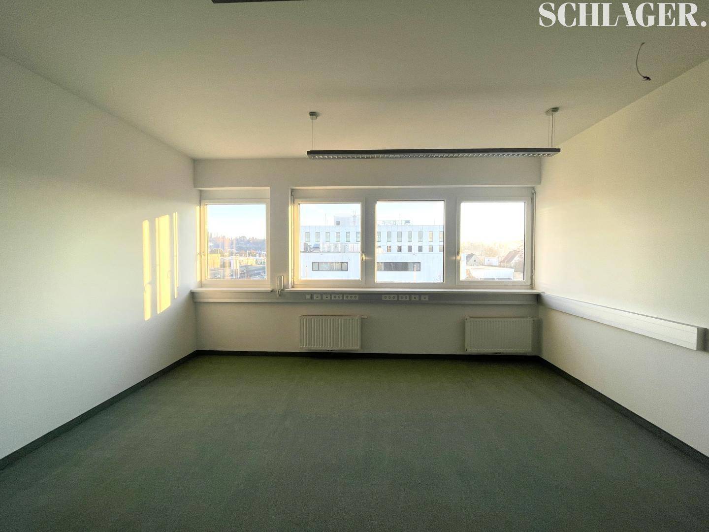 Helles Büro mit mehreren Fenstern, grünem Teppichboden und Heizkörpern unter den Fenstern.