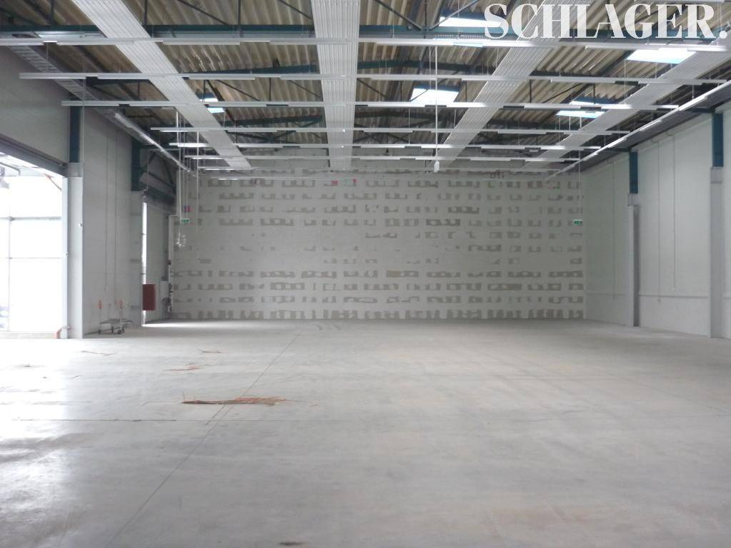 Weitläufige Industriehalle mit sichtbarer Deckenkonstruktion, Betonboden und guter Beleuchtung durch Oberlichter.