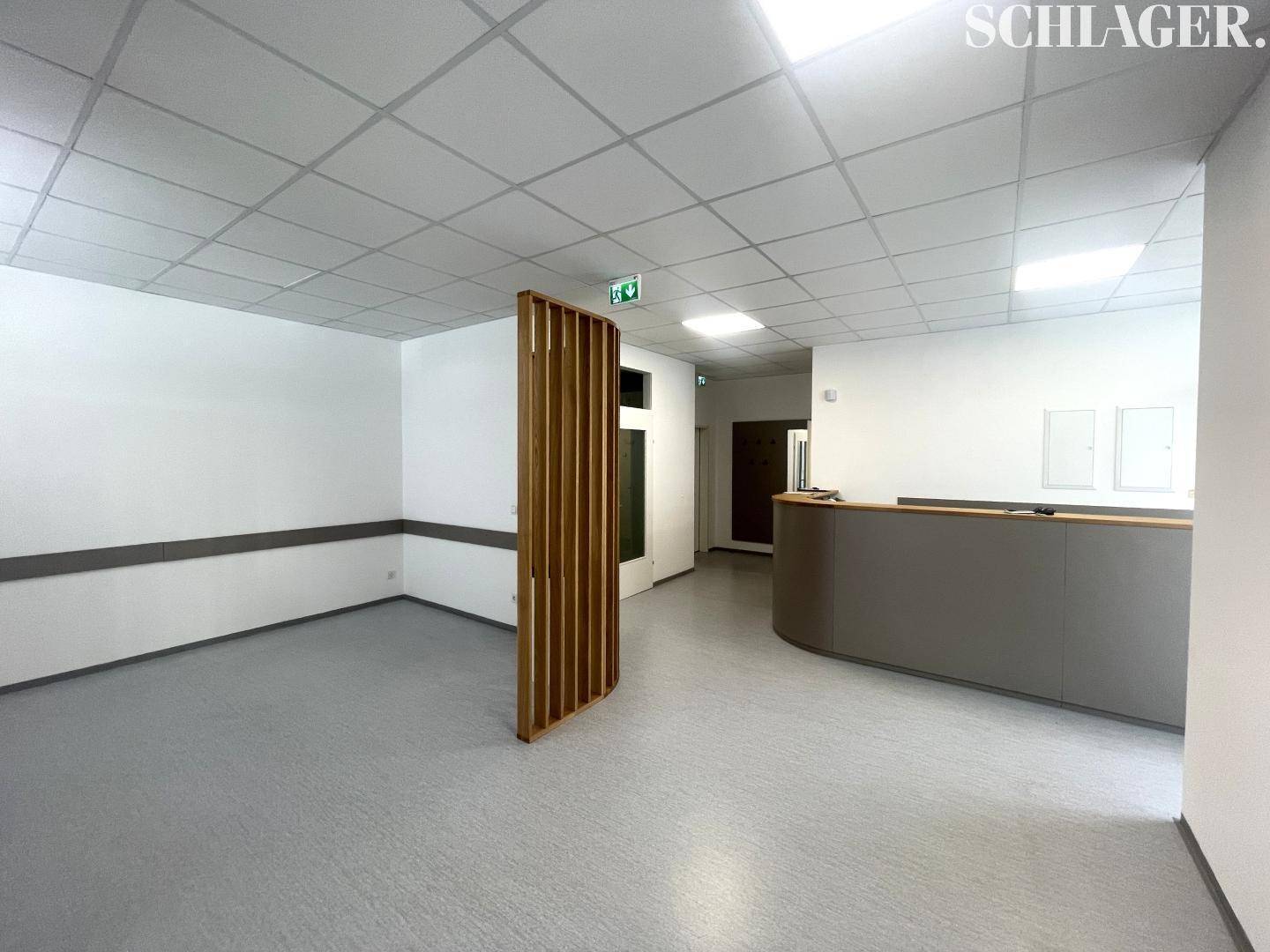 Empfangsbereich mit einer geschwungenen Theke und einem dekorativen Holzlamellen-Raumteiler.
