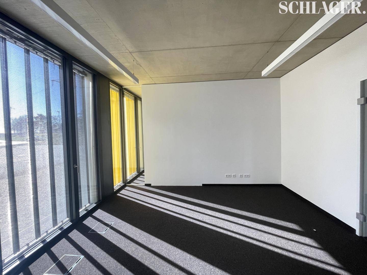 Helles Büro mit großen Fenstern, die viel Tageslicht hereinlassen, und Teppichboden.