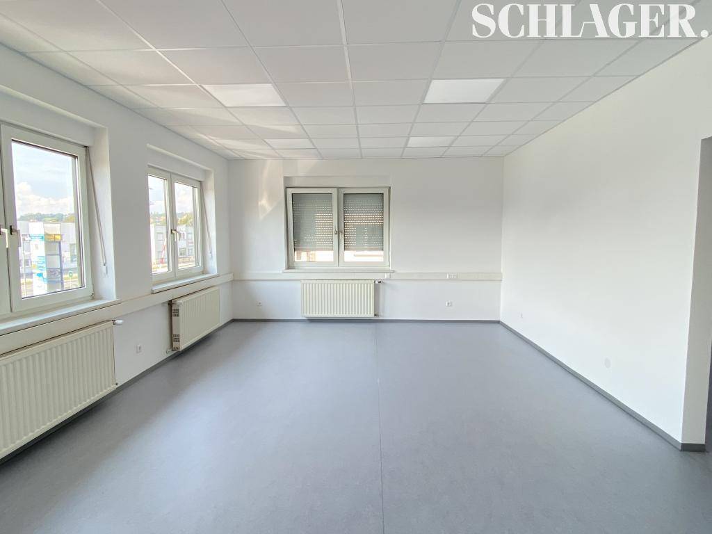 Geräumiger Büroraum mit mehreren Fenstern, Vinylboden und abgehängter Decke.