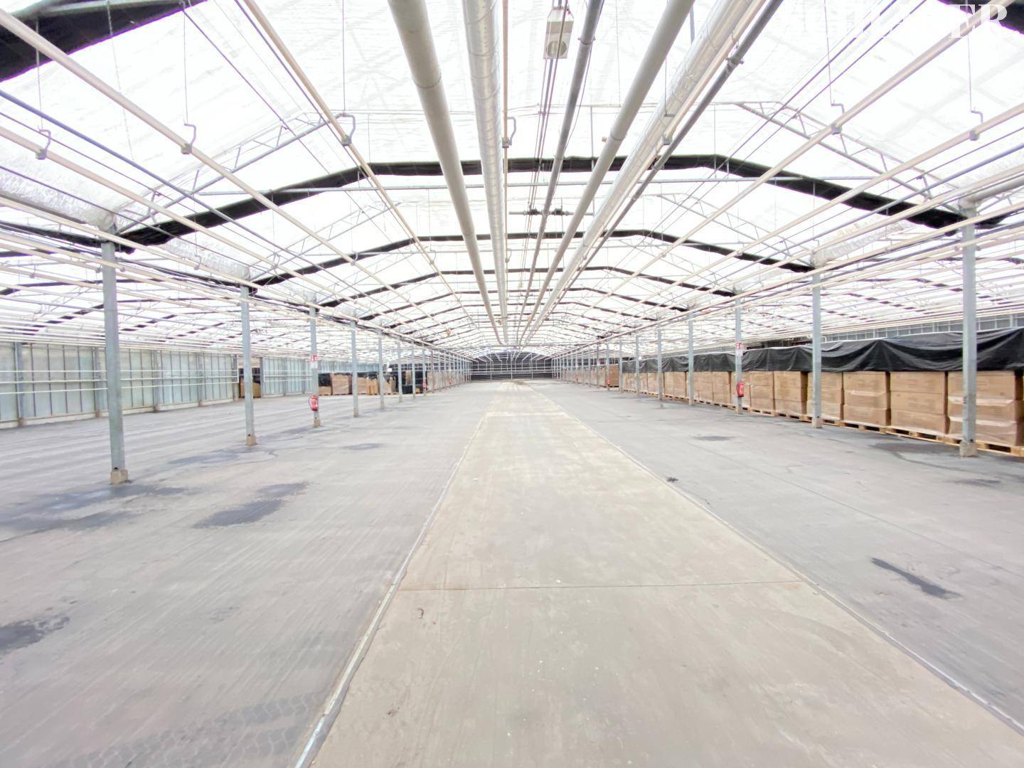 Weitläufige Lagerhalle mit transparentem Dach und Reihen von Stützpfeilern.