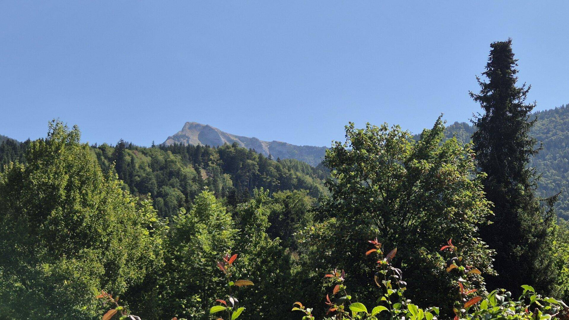 Panoramablick auf die umliegende Berglandschaft mit dichten Wäldern unter blauem Himmel.
