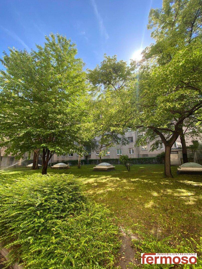 Gepflegter Gemeinschaftsgarten mit Rasenflächen und hohen Bäumen unter blauem Himmel.