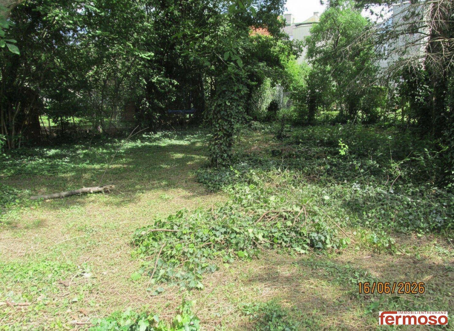 Traumgrundstück 696m² in 1110 Wien – Perfekt für Ihr Eigenheim! Sehr grün und mit einem teilweisen sehr alten Baumbestand am Grundstücksrand - Ansicht 4