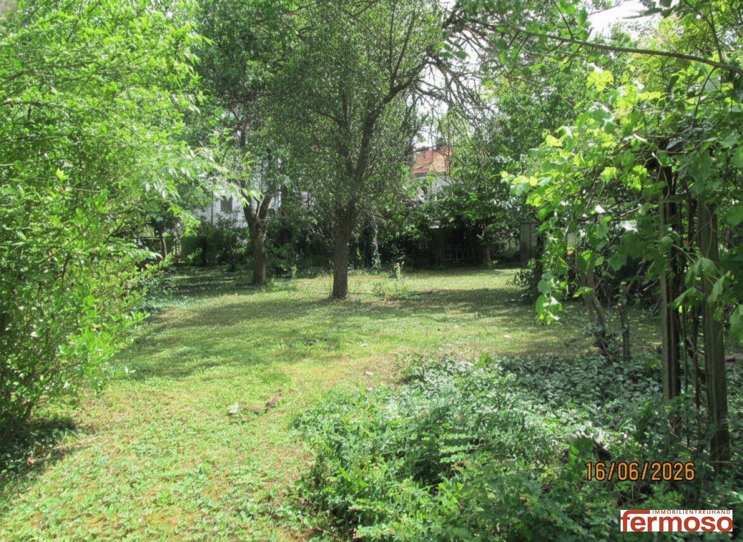 Offener Gartenbereich mit einer großen Rasenfläche und mehreren Bäumen unter blauem Himmel.