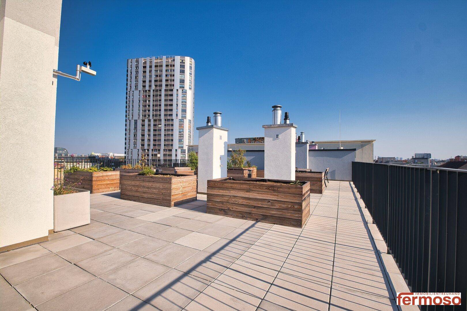 Sonniger Bereich der Dachterrasse mit großen Pflanzgefäßen und Blick auf die umliegenden Gebäude.
