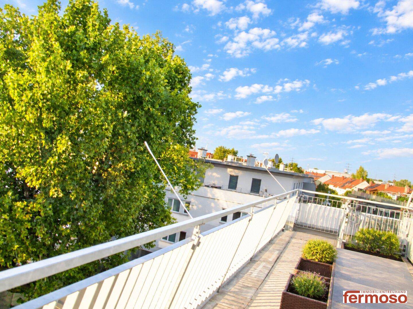 Teil der Dachterrasse mit Pflanzenkübeln und einem großen Baum, der natürlichen Schatten spendet.