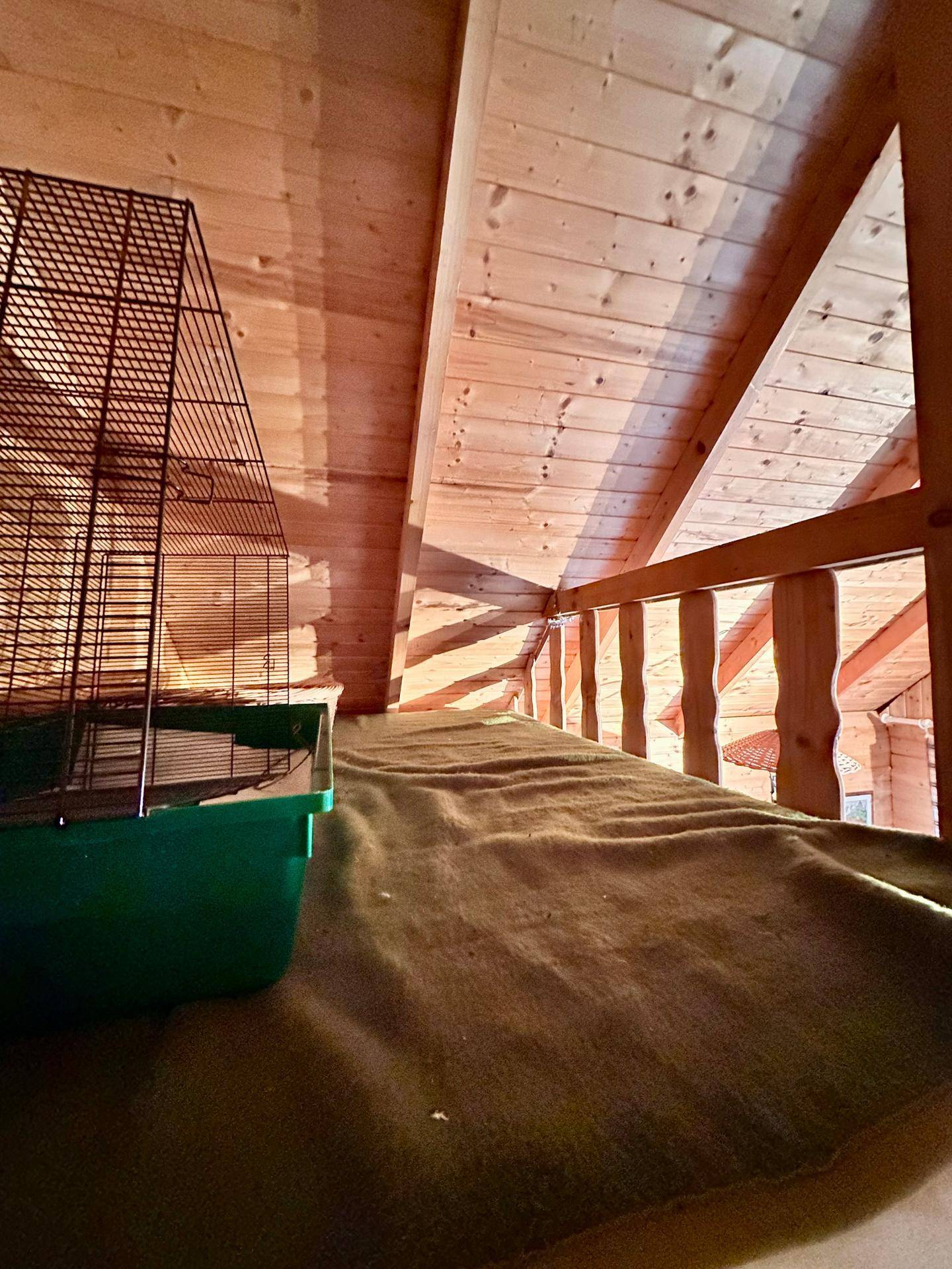 Schlafbereich auf der Holzgalerie mit Dachschräge und Blick in den Wohnraum.
