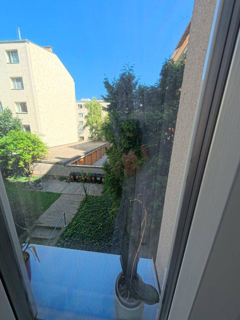 Aussicht v Küchenfenster